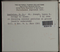Image Associated With the Occurence